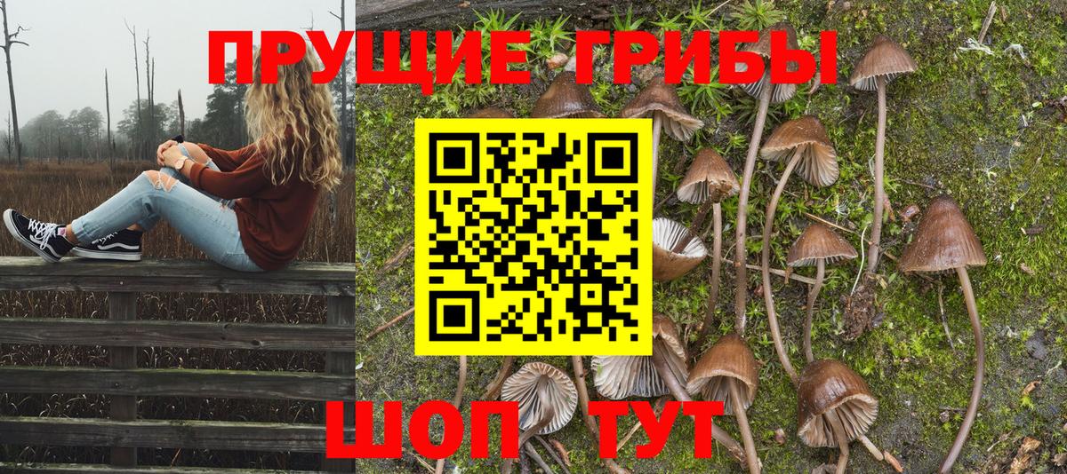 Псилоцибиновые грибы MAGIC MUSHROOMS  Вход с VPN  Нягань 
