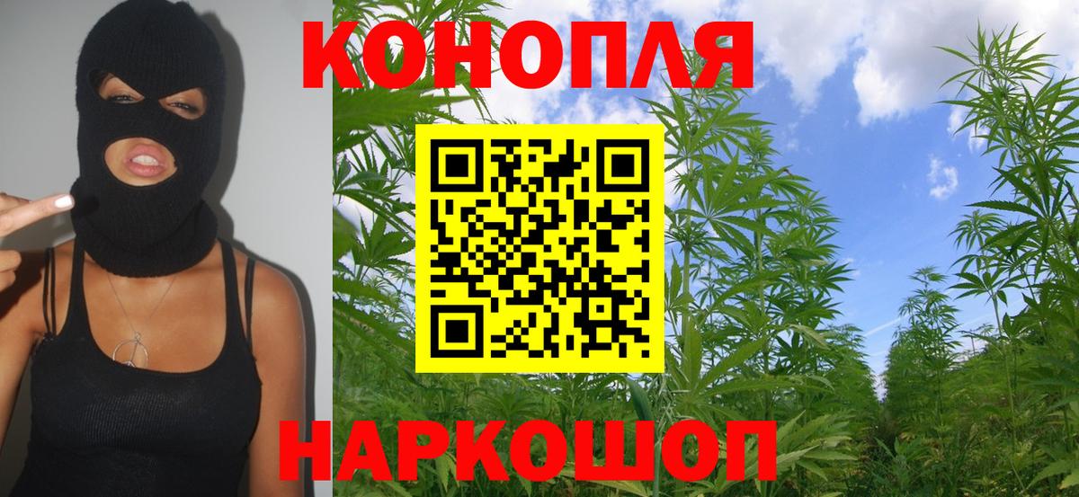 Каннабис сатива Нягань